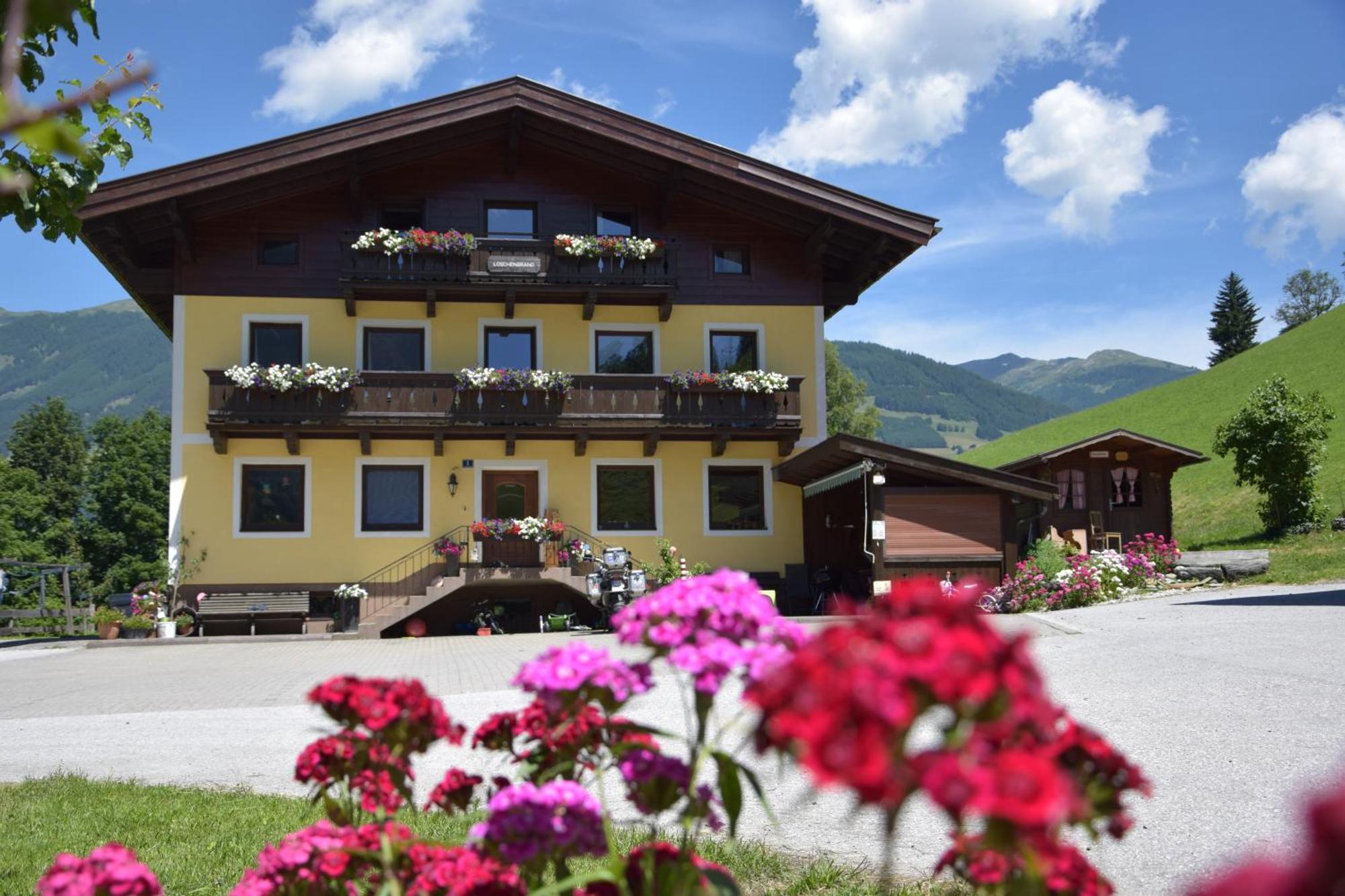 Loeschenbrandhof Apartamento Mittersill Exterior foto